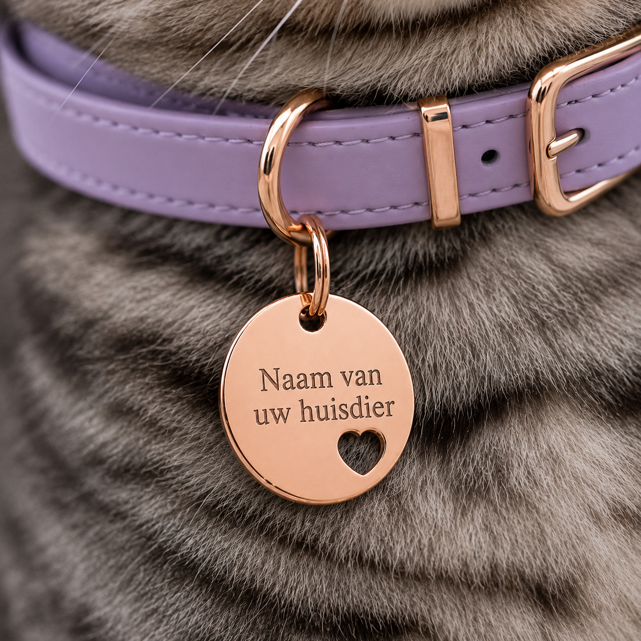Gepersonaliseerde Hondenpenning Rond met Hartje - Kattenpenning / Huisdierpenning - Gegraveerde ID-tag met naam, telefoonnummer en adres - Dubbelzijdig RVS naamplaatje - Roségoud - 20 mm