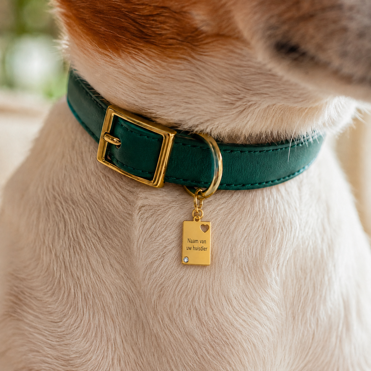 Gepersonaliseerde Hondenpenning Rechthoekig met Hartje en Strass Steentje - Kattenpenning / Huisdierpenning - Gegraveerde RVS ID-tag met naam, telefoonnummer en adres - Dubbelzijdig naamplaatje - Goud - 12 mm