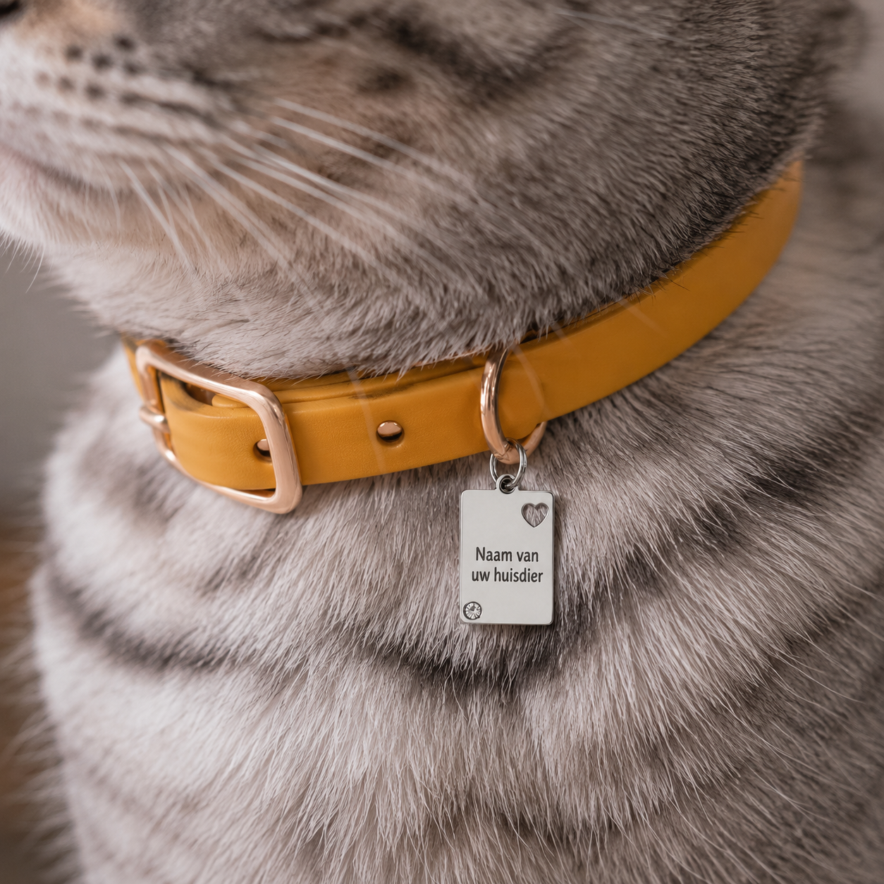 Gepersonaliseerde Hondenpenning Vierkant / Rechthoekig met Hartje en Strass Steentje - Kattenpenning / Huisdierpenning - Gegraveerde RVS ID-tag met naam, telefoonnummer en adres - Dubbelzijdig naamplaatje - Zilver - 12 mm