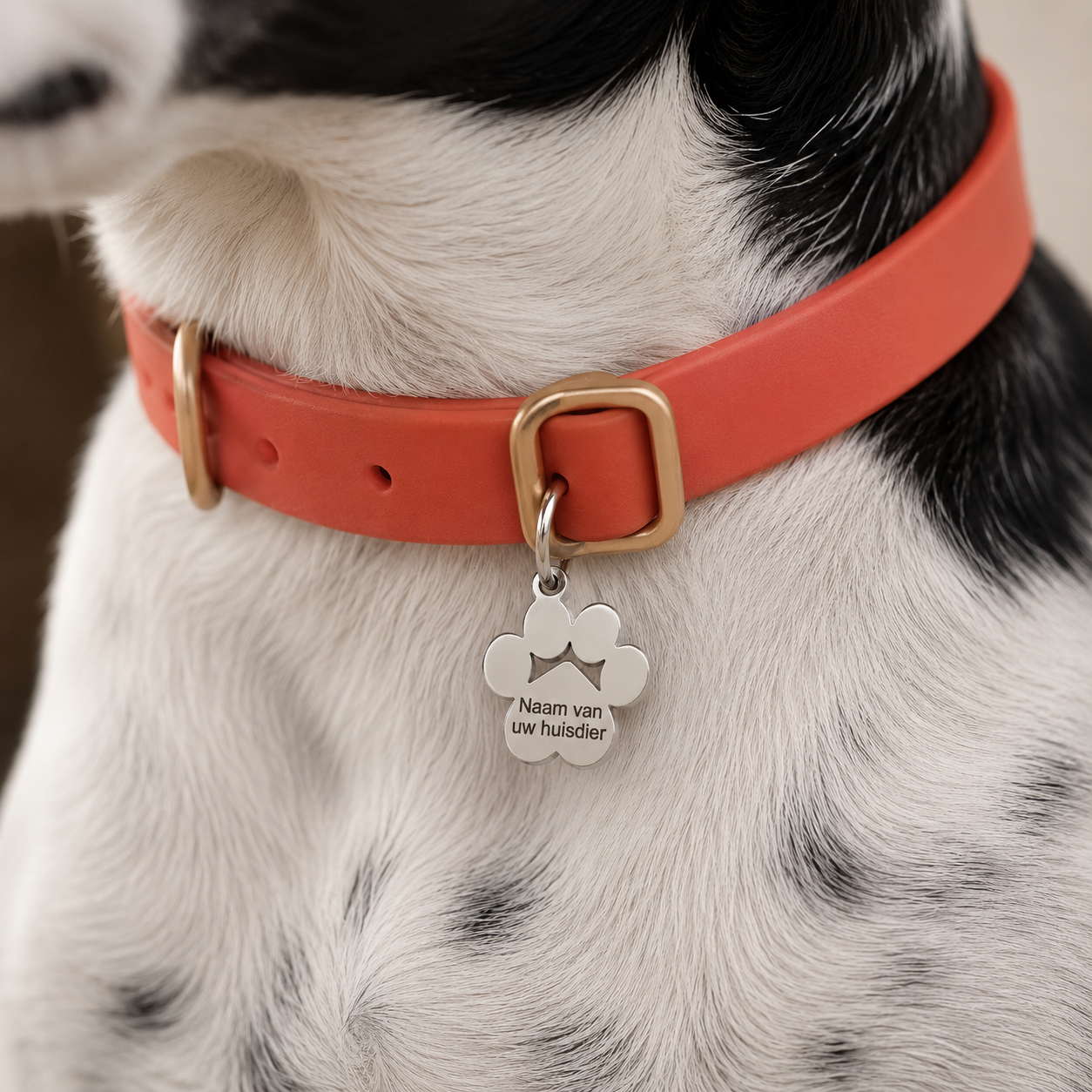 Gepersonaliseerde Hondenpenning Pootvorm - Kattenpenning / Huisdierpenning - Gegraveerde RVS ID-tag met naam, telefoonnummer en adres - Dubbelzijdig naamplaatje - Zilver - 15 mm