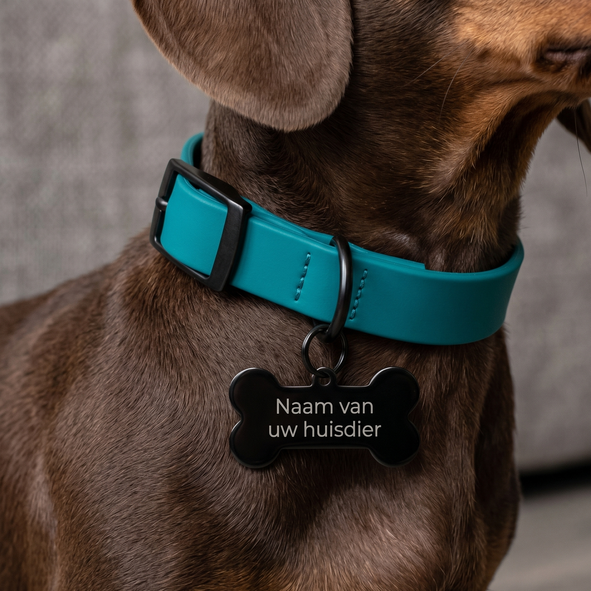 Gepersonaliseerde RVS Hondenpenning / Naamplaatje voor Huisdier – Zwarte Botvormige Dierenpenning 30 mm met Naam, Telefoonnummer en Adres – Dubbelzijdige Gravure – Roestvrij Staal