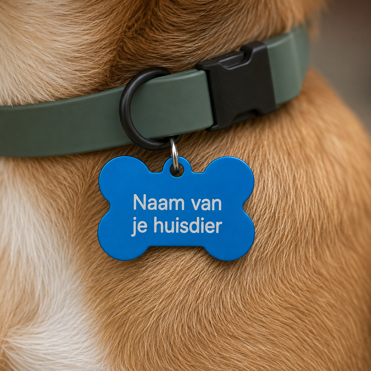 Gepersonaliseerde huisdierpenning voor hond en kat – Licht Blauwe botvormige naamplaat huisdier van geanodiseerd aluminium – Hondenpenning kattenpenning met gravure – Naam, telefoonnummer en adres – 35 mm