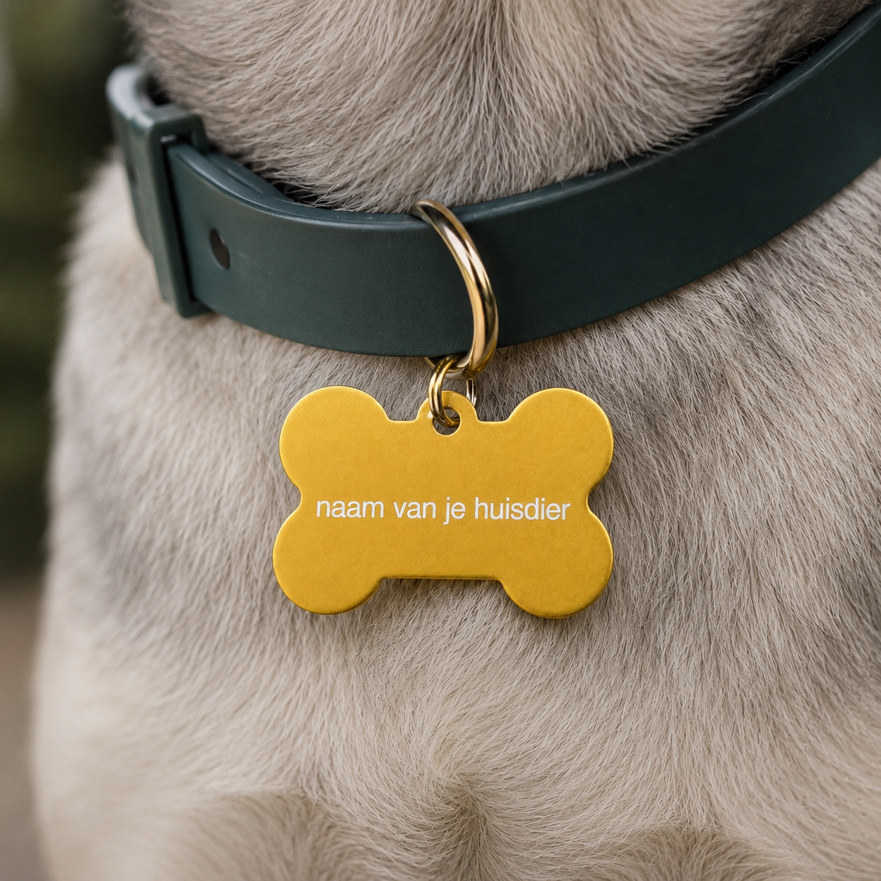 Gepersonaliseerde huisdierpenning voor hond en kat – Goudkleurige botvormige naamplaat huisdier van geanodiseerd aluminium – Hondenpenning kattenpenning met gravure – Naam, telefoonnummer en adres – 35 mm