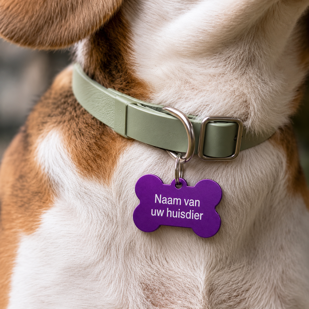 Gepersonaliseerde huisdierpenning voor hond en kat – Paarse botvormige naamplaat huisdier van geanodiseerd aluminium – Dierenpenning met gravure – Naam, telefoonnummer en adres – 35 mm