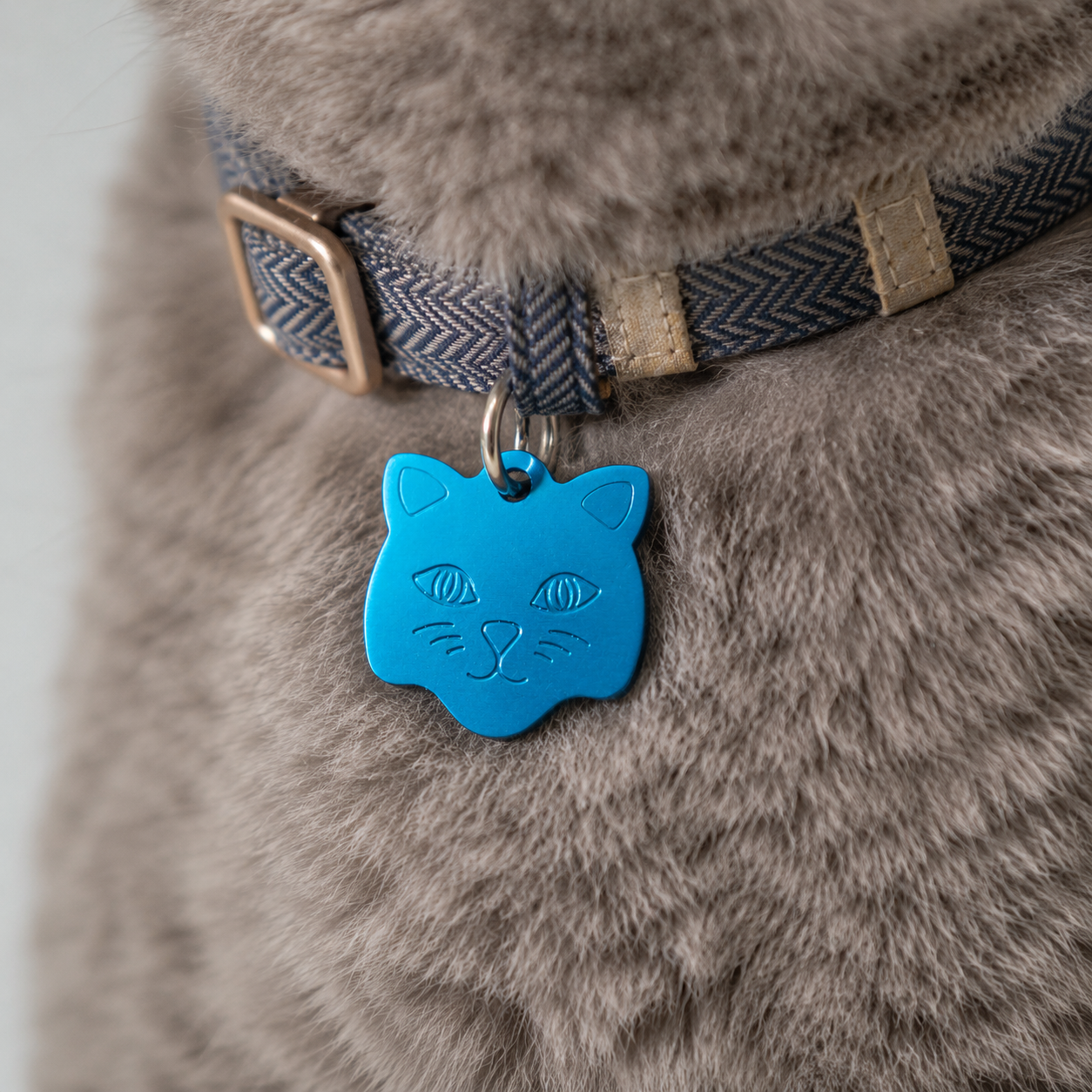 Blauw Katten Naamplaatje voor Huisdier – Gepersonaliseerde Kattenpenning met Naam, Telefoonnummer of Adres – Aluminium ID Tag voor Kat, Kitten, Halsband, Poezenpenning – 22 mm