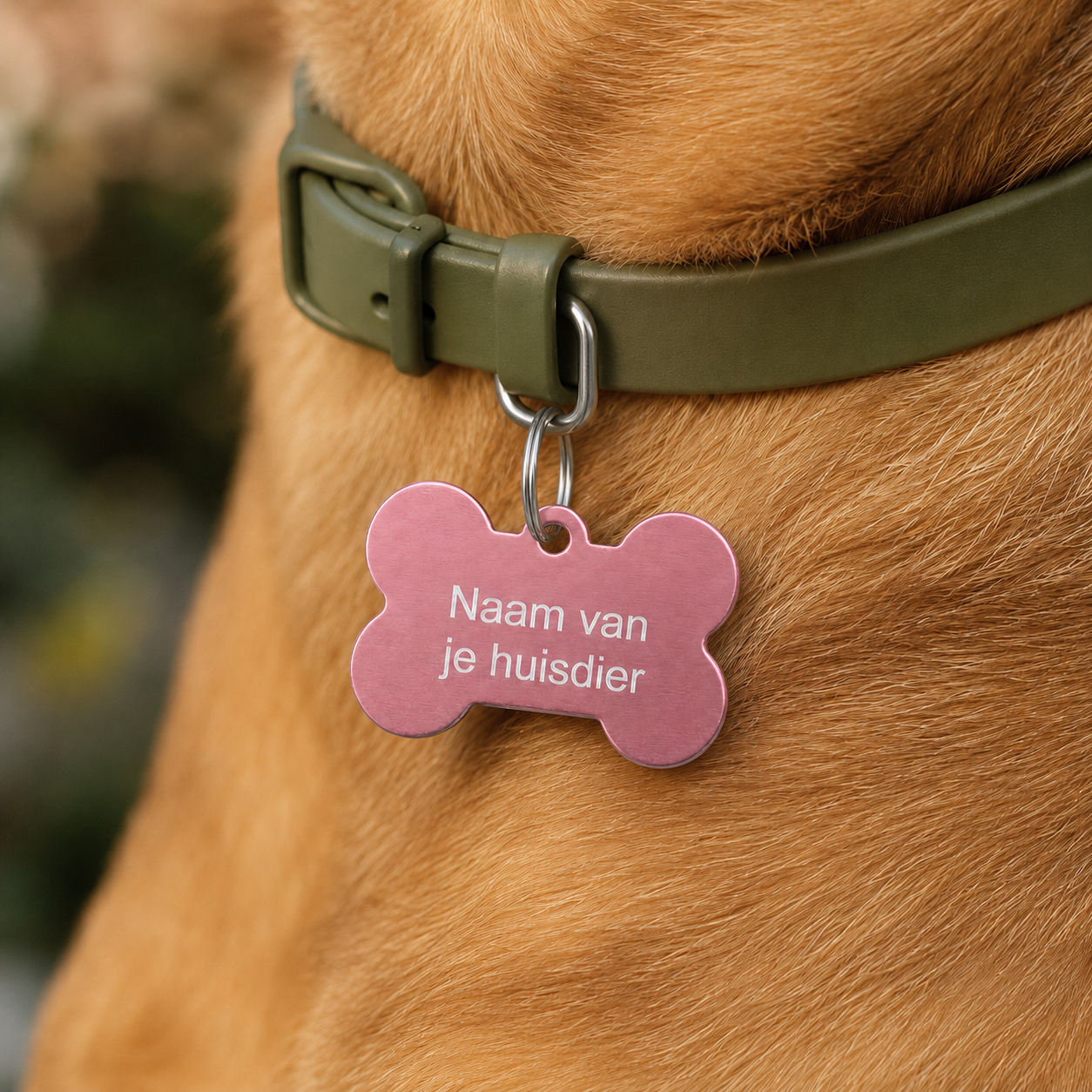 Gepersonaliseerde huisdierpenning voor hond en kat – Lichtroze botvormige naamplaat huisdier van geanodiseerd aluminium – Dierenpenning met gravure – Naam, telefoonnummer en adres – 35 mm