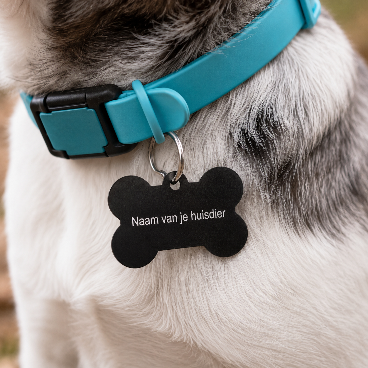 Gepersonaliseerde huisdierpenning voor hond en kat – Zwarte botvormige naamplaat huisdier van geanodiseerd aluminium – Hondenpenning kattenpenning met gravure – Naam, telefoonnummer en adres – 35 mm