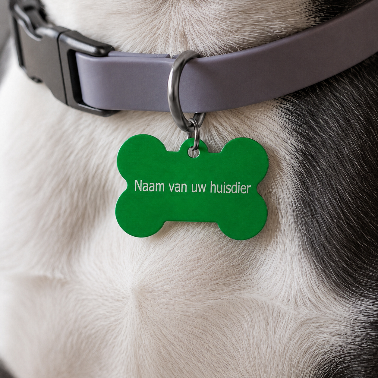 Gepersonaliseerde huisdierpenning voor hond en kat – Groene botvormige naamplaat huisdier van geanodiseerd aluminium – Dierenpenning met gravure – Naam, telefoonnummer en adres – 35 mm