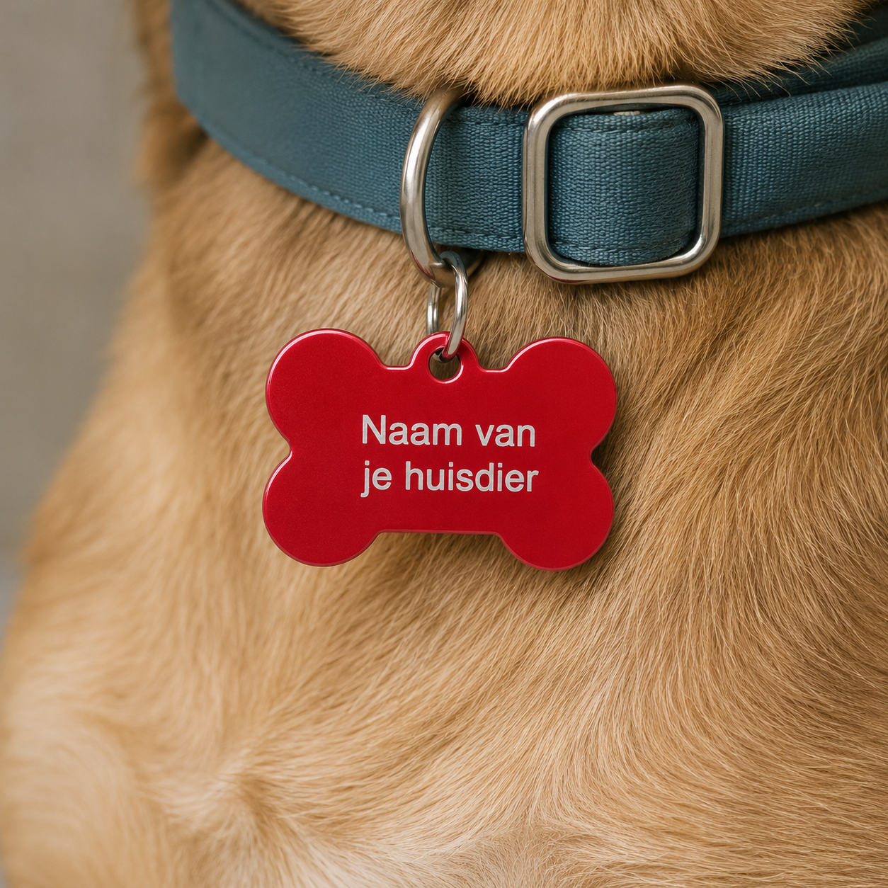 Gepersonaliseerde huisdierpenning voor hond en kat – Rode botvormige naamplaat huisdier van geanodiseerd aluminium – Hondenpenning kattenpenning met gravure – Naam, telefoonnummer en adres – 35 mm